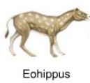 Eophippus, a horse that lived 60 million years ago