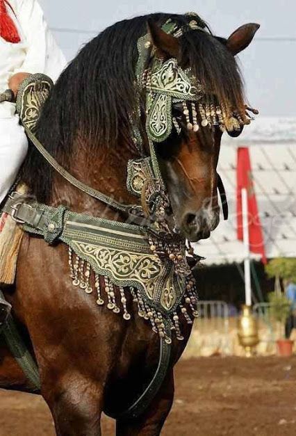 Destrier Medieval Horse